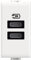 Bticino AM4191CC Caricatore USB con due ingressi di tipo C, da installare nella placca Matix, per ricaricare un dispositivo elettronico fino a 15W o due dispositivi in simultanea, 1 posto, bianco
