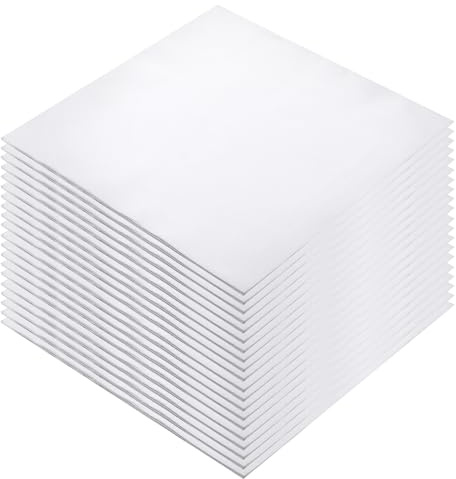 20Pcs White Fabric Squares Precut Cotton Cloth Solid Colors Quilting Fabric for DIY Craft Sewing Making (25 × 25cm)