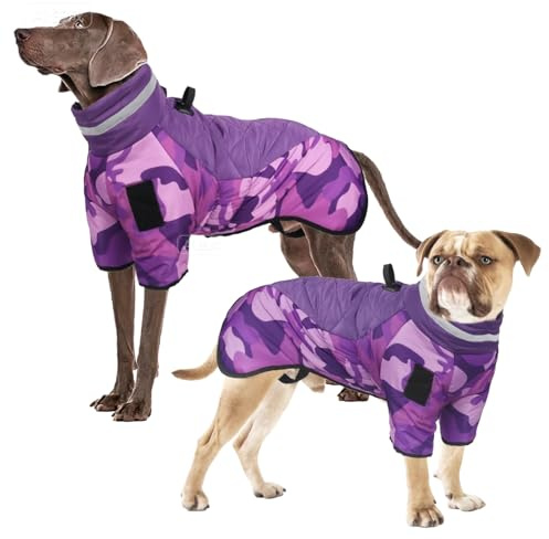 Abrigo Invierno Perro, Chaqueta de Perro Impermeable a Prueba de Viento Chaleco de Perro para Perros Grandes, Ajustable Perro Abrigo de Invierno con Arnés D-Ring y Diseño Reflectante, Morado 6XL