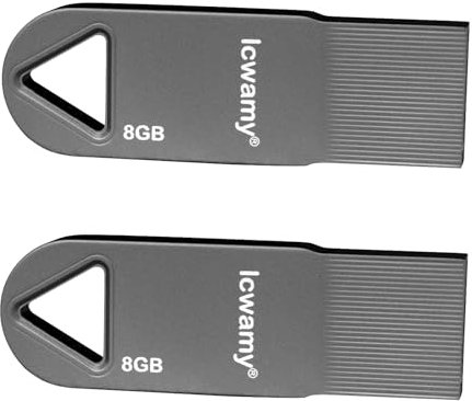 lcwamy 8GB USB Sticks 2 Pack Flash Drive Pack Bulk USB Drives Memory Stick 8GB Black Mini Metal Thumb Drive