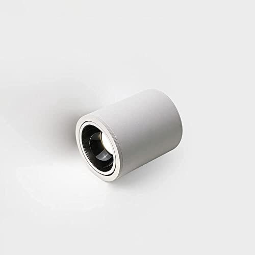 Faretto, faretto LED da Superficie, faretto d'accento da 10 W, faretto Bianco da Incasso per Interni, Corpo in Alluminio, apparecchi di Illuminazione direzionali da soffitto per corridoio e Galle