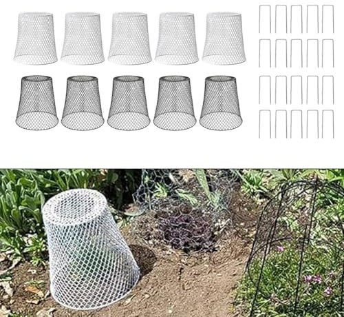 10 cubiertas protectoras de plantas, cubierta protectora de alambre de metal para jardín con 20 estacas en forma de U, cesta de protección de alambre al aire libre para mantener a los animales fuera
