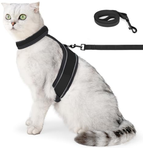 Set med kattsele, reflekterande kattsele, väst för valpkatt (S/M/L/XL)