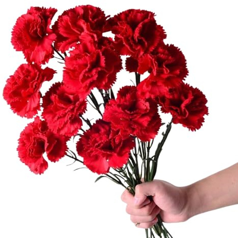 DECOALIVE | Ramo Clavel Rojo l | Bouquet 50 Flores | Claveles Rojos Naturales y Frescos