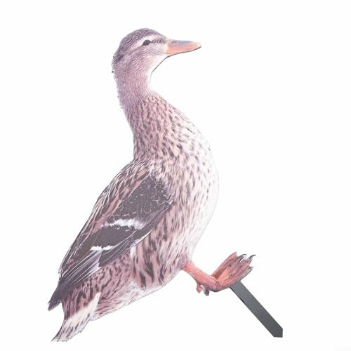 Palo da giardino in acrilico a forma di anatra su entrambi i lati, ornamento decorativo per prato, figure di animali, per esterni, cortile, patio, giardino, con pali per inserto a terra (B)