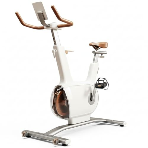 Bicicleta de ciclo indoor Sophy W1+ – Transmisión silenciosa y resistencia infinita