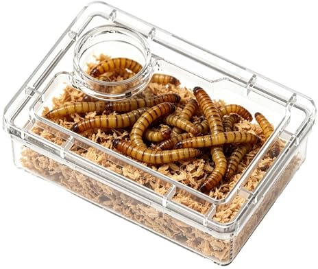 Ciotola trasparente per geco | Mangiatoia rettili anti-fuga - Ciotola geco leopardo per terrario - per casa e ufficio terrario habitat camaleonte Bernard-l'eremita rana