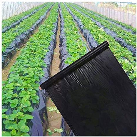Plastfilm för växter Perforerad, Lantbruk ogräsrensning Svart kompostkompost, 0,8m Bredd Förtjockning 0,01mm Vegetabiliskt växthus Jordgubb Special Plastfilm Växter Grow Films(0.8mx100m)