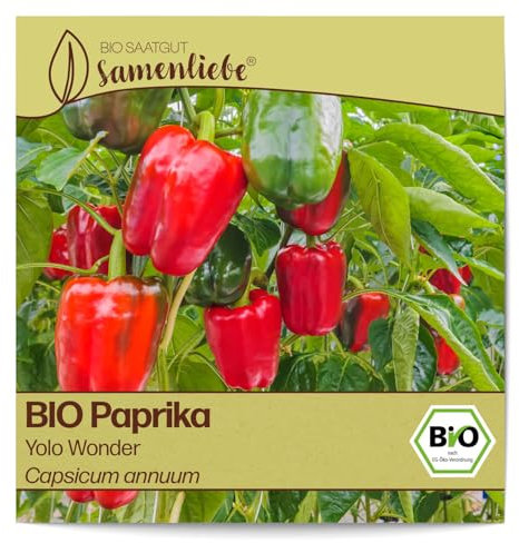 Samenliebe BIO Paprika Samen Gemüsesamen Yolo Wonder 10 Samen Gemüse Samen Garten Paprika Saatgut samenfeste einjährig Pflanzen für Gewächshaus, Garten und Balkon