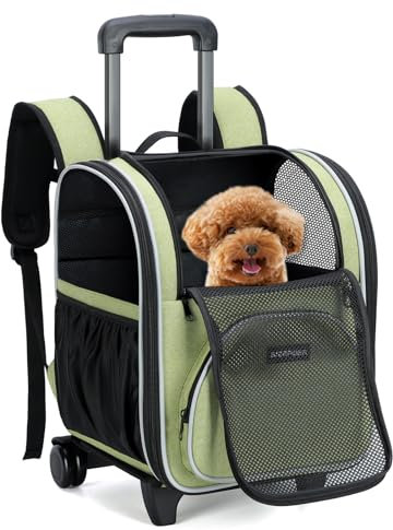 BIERPOER Katzenrucksack mit Rollen, Hunderucksack mit Rollen Groß Hunderucksack mit Rädern für Transportbox Hund und Katze bis 6kg, Hellgrün