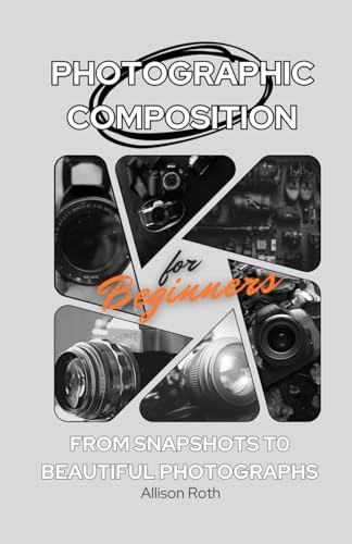 Photographic Composition for Beginners: From snapshots to beautiful photographs