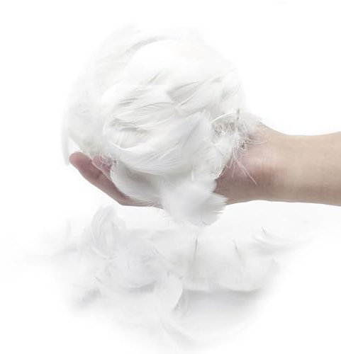 EUPSIIU 300 Stück Federn zum Basteln Weiß Deko Federn Flaumfedern Federn Schmuckfedern Vogelfedern Bastelfedern Natur für DIY Basteln Dekoration Ostern Weihnachten Kopfschmucksfedern (Weiß)