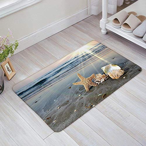 Entrédörrmatta 40 x 60 cm, havsstrand snäckskal badmatta superabsorberande entrématta mjuk golvmatta för kök, sovrum, trädgård