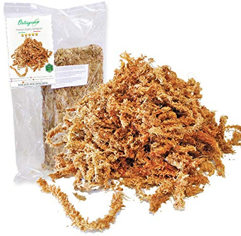 Ortisgreen Sfagno Cileno di Qualità Premium da 250g Completamente Naturale e Biodegradabile. Substrato Ideale per Orchidee, Bonsai e Giardini Verticali.