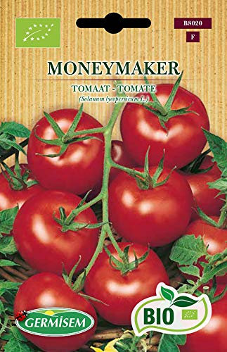 Germisem Biologico Moneymaker Semi di Pomodoro 0.5 g