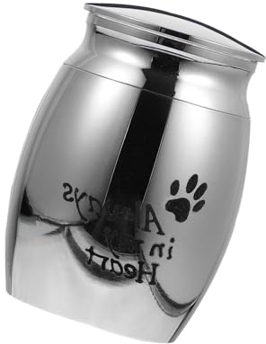 BESTonZON Urne Funéraire pour Animaux de Compagnie en Acier Inoxydable Argenté Mini-Urne Compacte pour Cendres Boîte de Crémation Solide et Portable pour Souvenir et Conservation
