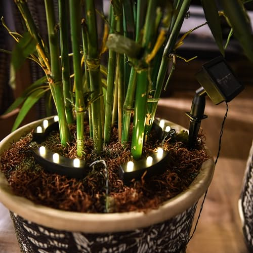 Spetebo Lámpara LED solar para macetas, iluminación con 8 funciones, juego de 5, macetero, lámpara decorativa de color blanco cálido, iluminación para jardín, macetero, lámpara solar
