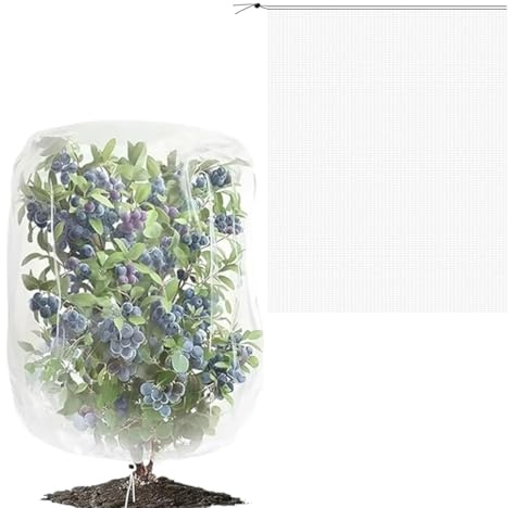 Red de protección para plantas, 1,8 m x 1,8 m, red de protección contra insectos para jardín, plantas, vegetales, malla fina, red de protección cultural para huertos, árboles frutales y plantas de