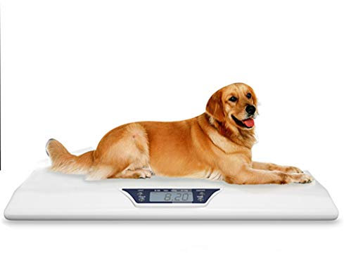 CGOLDENWALL Digitale Haustierwaage, Babywaage, 20 kg/10 g, Viehwaage, LCD-Display, gebogenes Komfort-Design, All-Inclusive Sicherheitsdesign