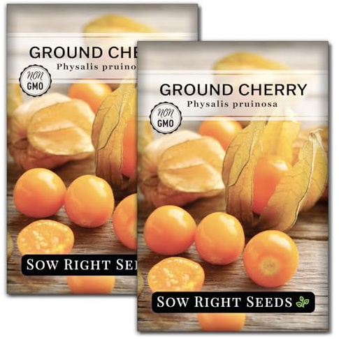 Sow Right Seeds - Ground Cherries Seeds for Planting - Non-GMO Heirloom Packet with Instructions to Plant an Outdoor Home Vegetable Garden - Mexican Husk Tomato - Endangered Variety (2)