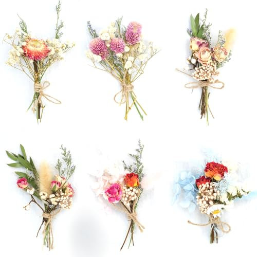 PIWOSGOL 6 Stück Trockenblumenstrauß, Trockenblumenstrauß Mini Natürliche Getrocknete Blumen Trockenblumen Zum Trockenblume für Bilderrahmen DIY Geschenk Wohnungseinrichtung Hochzeitsdekoration