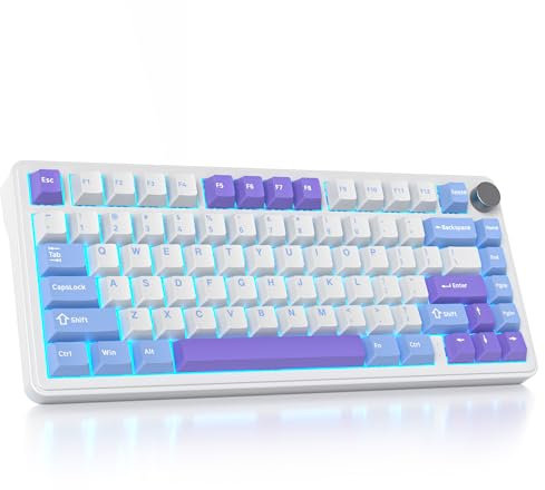 SOLIDEE mechanische Gaming Tastatur 75 Prozent mit Knopf,Bluetooth 5.0/2.4GHz/USB-C Gasket Mount Tastatur,hot-swap-fähige mechanische Tastatur mit South Facing RGB Hintergrundbeleuchtung(Starlight)