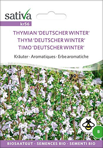Sativa Rheinau kr56 Thymian 'Deutscher Winter' (Bio-Thymiansamen)
