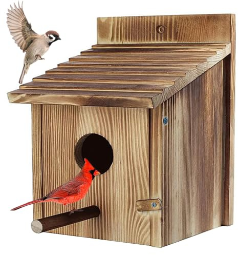 Nichoirs à Oiseaux pour l'extérieur, nichoirs à Oiseaux Bleus en Bois pour l'extérieur, nichoir avec Poteau Debout, muraux pour ', Jardin, Cour...