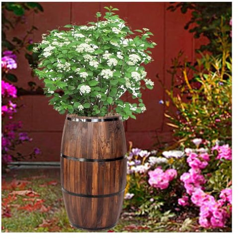 Support pour Plantes, tonneau à Whisky, Support de Fleurs, tonneau à vin Vintage, Pot de Fleurs avec Trou de Drainage, tonneau Rond en Bois pour Plantes d'intérieur et d'extérieur (Marron 24 x 30 cm)