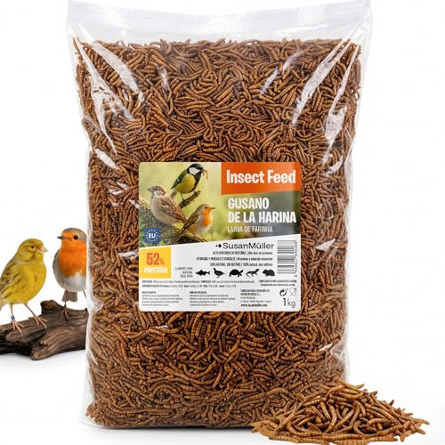 Gusano De La Harina Deshidratado SusanMüller - Alimento Natural 100% Tenebrio Molitor para Aves Silvestres Y Peces - Rico En Proteínas Y Minerales - Sin Aditivos Ni Pesticidas - Bolsa 1 kg