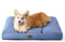BEDSURE Hundekissen kleine Hunde waschbar - 76x50cm Hundebett wasserdicht M für kleine, mittelgroße Hunde gepolstert Hundematte Blau Gewaschen in 10cm Höhe
