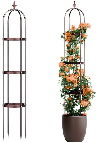 Idzo Treillis pour Plantes grimpantes d'extérieur, en Acier, Design obélisque, revêtement en Pierre, Couleur Bronze 2025, Support pour Plantes grimpantes, décoratif pour extérieur et intérieur