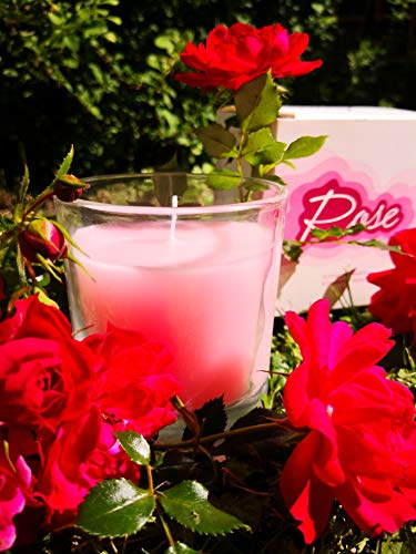 HGD Villeroy & Boch Rose-Vaso votivo (tamaño Grande), Cera, Rojizo, Large