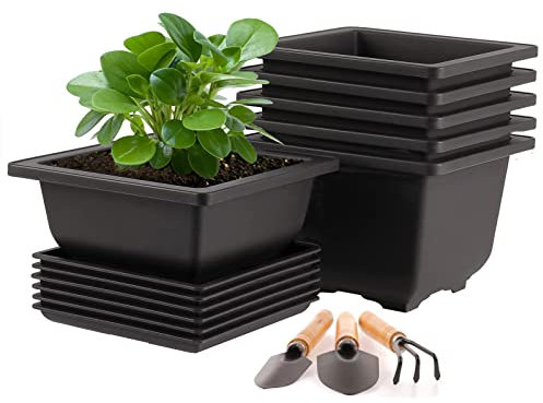 MissFox Bonsai Schale mit Untersetzer, 6 Stücke Blumentopf Eckig mit Tablett und Mini Gartenwerkzeug Set, 12x12x6cm Bonsaischale Kunststoff Pflanztöpfe für Innen- und Außenbereich