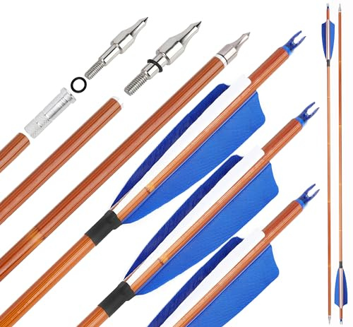 surwolf 31 Flèches de tir à l'arc en Carbone,flèches d'entraînement, Spine 500 Flèches de Chasse avec Pointe de flèche remplaçable pour arcs à poulies et arcs Classiques,12/6PCS (Bleu, 12pcs)