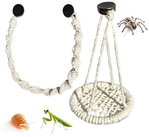 Zasdvn Accesorios para Terrario de Araña Saltarina,De Cuerda Colgable,Decoración para Terrario De Arañas Saltarinas | para, Cría De Geckos, Ranas Arborícolas, Cangrejos Ermitaños Y Hogar