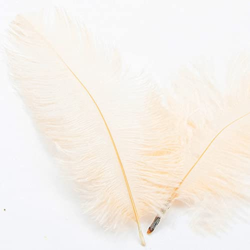 30 stycken 15–20 cm naturliga strutsfjädrar, bukettfjäder för pyssel, pysselfjädrar för gör-det-själv drömfångare tillbehör, heminredning, kostymer, bordsdekoration, bröllop, fest, hatt, kläder,
