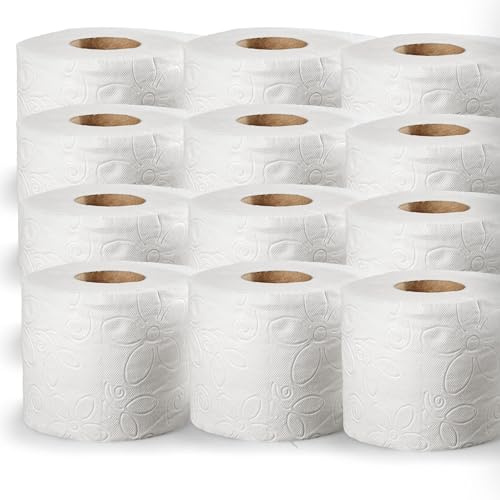 DSTOCK60 – 4 lots de 12 rouleaux de papier toilette blanc gaufré, confort, 2 plis très doux et résistant papier toilette traditionnel