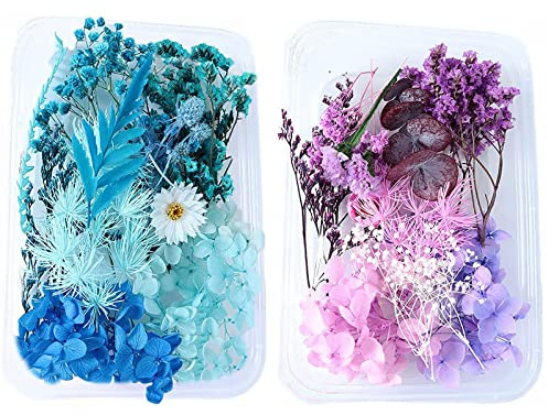 2 Cajas Flores Secas Naturales,Flores Secas Reales,Flores Secas Manualidades, Flores Secas para Scrapbooking Album de Fotos Decorar DIY Art Makeup Flores Fabricación de Velas(Azul & Púrpura)