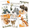 HEJ.CREATION 12 Einladungskarten zum Kindergeburtstag für Jungen und Mädchen | Einladungen zur Geburtstagsfeier (12 Karten) Tiermotive Kinder Party Geburtstag Invitation