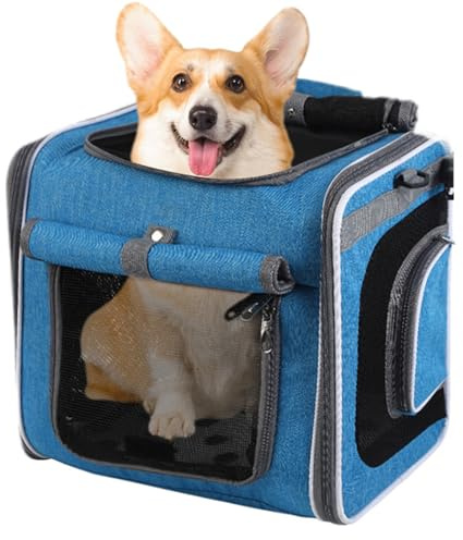 Cesta Para Perro En Bicicleta Transportín Ciclista para Mascotas
