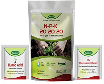 Katyayani NPK 20 20 20 100% Organic Water Soluble Fertilizer For Home Garden| PlantFood with 2 Sample Mix micronutrients| Natural Yield & Blooming Booster for Outdoor Indoor Plants(900gx1)