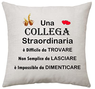 Colleghi d'Addio Fodera per Cuscino - Regalo Pensionamento Compleanno Amicizia per Amici e Colleghi