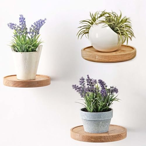 GAOUTO 3 unidades de estantería de pared redonda, 15 cm de diámetro, flotante, redonda, de madera, para colgar en la pared, para plantas y jarrón