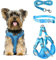 FINEASY Hundegeschirr mit Leine, Reflektierend, Hundegeschirr Kleine Hunde, Sicherheitsgeschirr Hund Ausbruchsicher, Brustgeschirr Hund, Geschirr für Haustiere, Katzen, Klein, Welpen (Blau, S)