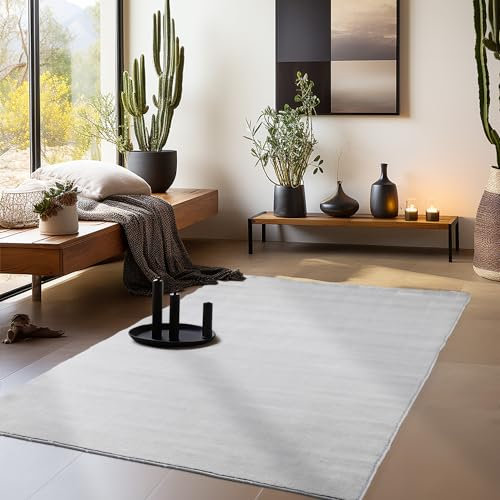 HomebyHome Kurzflor Teppich Wohnzimmer 120 x 170 cm Silberfarbe - Waschbarer Teppich für Schlafzimmer, Esszimmer und Ideal als Küchenteppich - Flauschiger Teppich Weich, Einfarbig, rutschfest, Modern