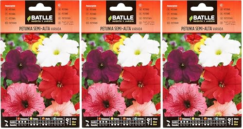 Petunia SEMI-ALTA variada (Paquete de 3)