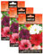 Petunia SEMI-ALTA variada (Paquete de 3)