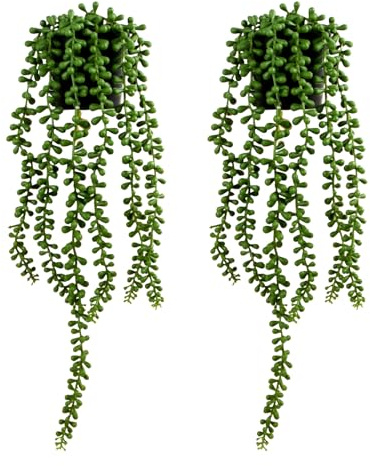 Astralong 2 Pezzi Pianta Sospesa Grasse Artificiale, Piante Artificiali da Appendere in Vaso, piante Pendenti Finte Cadenti, Artificiali piante Appese Finto Filo di Perle per Mensole Interne