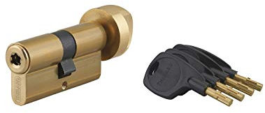 THIRARD - Cilindro de Cerradura con Botón Surveyor - Latón - Alta Seguridad - Anti-Arranque, Anti-Bumping - 31 x 31 mm - Amarillo/Dorado - 4 Llaves con Inserto